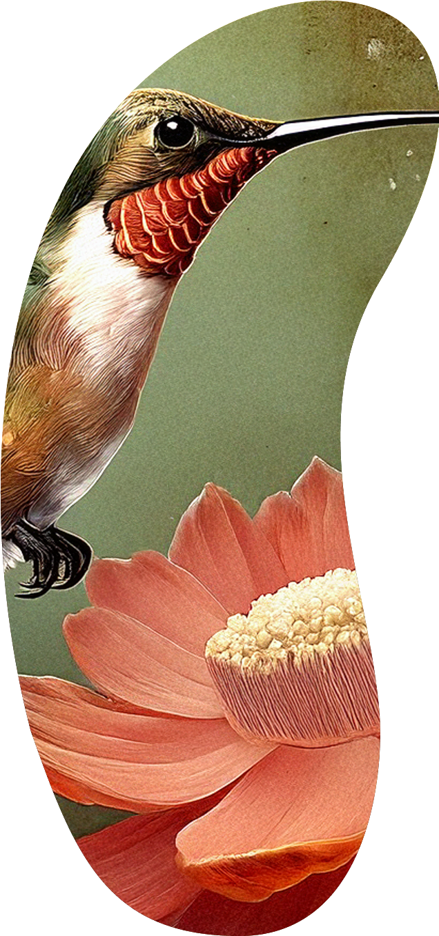 Institut KorzéAme Bien être Reiki Massages Lomi Lomi Caalifornien Suédois Ayurvedique Drainage Lymphatique A la Bougie Shiatsu Soins Energétiques Holistiques