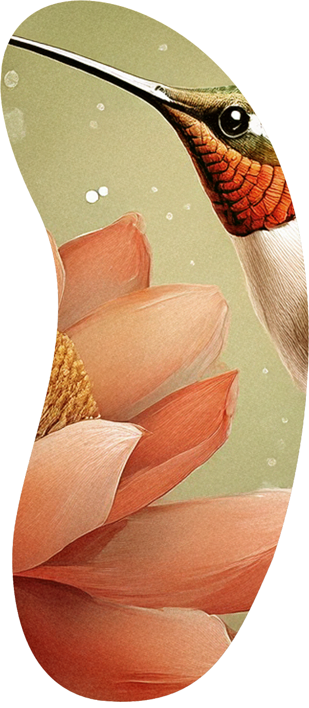 Institut KorZéAme Bien être Reiki Massages Lomi Lomi Caalifornien Suédois Ayurvedique Drainage Lymphatique A la Bougie Shiatsu Soins Energétiques Holistiques