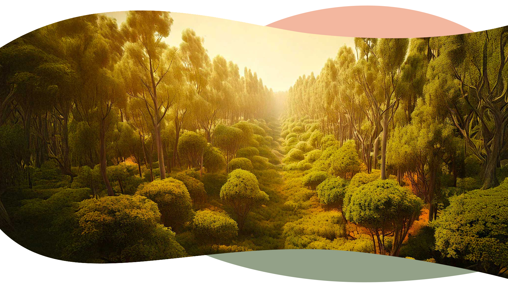 Institut KorZéAme Bien être Reiki Massages Lomi Lomi Caalifornien Suédois Ayurvedique Drainage Lymphatique A la Bougie Shiatsu Soins Energétiques Holistiques