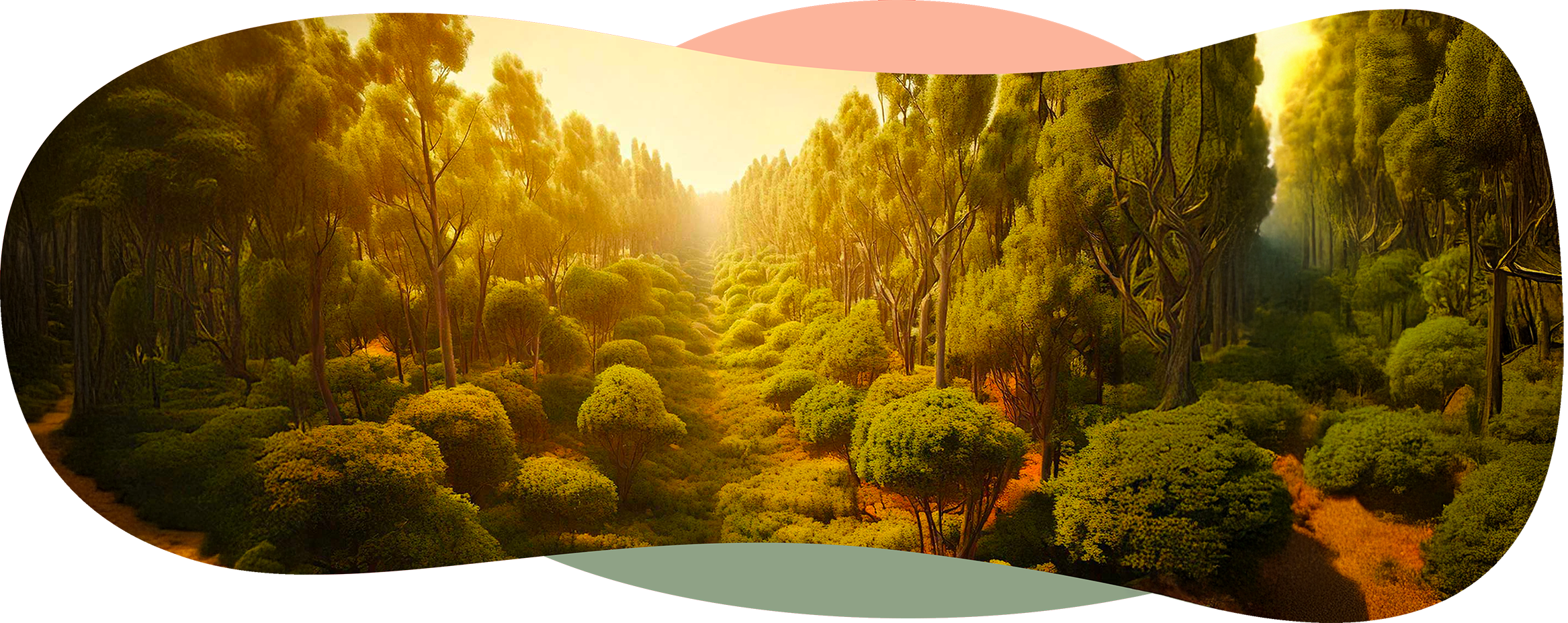Institut KorZéAme Bien être Reiki Massages Lomi Lomi Caalifornien Suédois Ayurvedique Drainage Lymphatique A la Bougie Shiatsu Soins Energétiques Holistiques